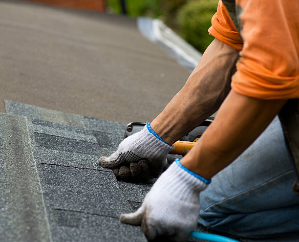 Best Roof Gutter Cleaning  in Carthage, TX